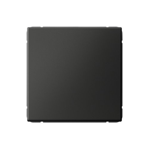 Заглушка без рамки Systeme Electric ArtGallery базальт фото Заглушка без рамки Systeme Electric ArtGallery базальт картинка